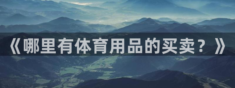 《哪里有体育用品的买卖？》
