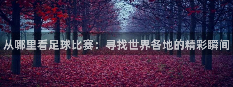 从哪里看足球比赛：寻找世界各地的精彩瞬间