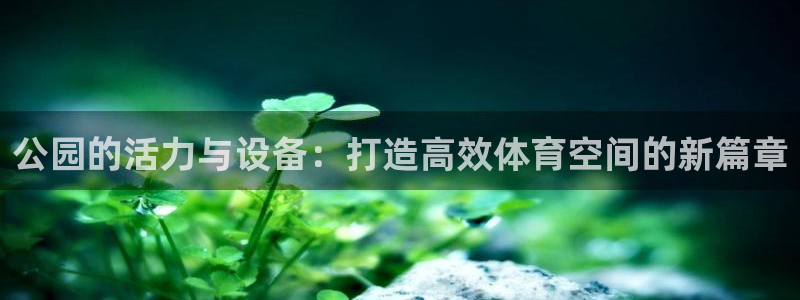公园的活力与设备：打造高效体育空间的新篇章