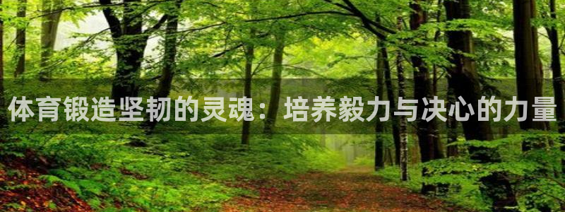体育锻造坚韧的灵魂：培养毅力与决心的力量