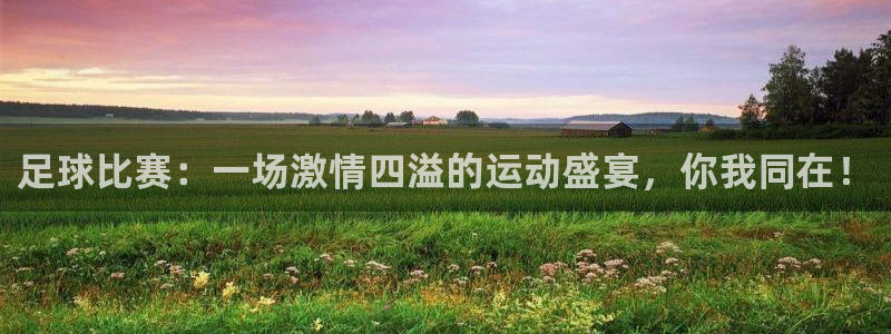 足球比赛：一场激情四溢的运动盛宴，你我同在！