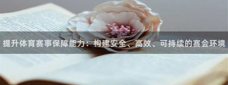 提升体育赛事保障能力：构建安全、高效、可持续的赛会环境
