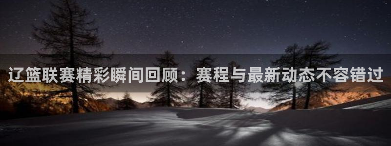 猎豹直播软件下载：辽篮联赛精彩瞬间回顾：赛程与最新动态不容错过