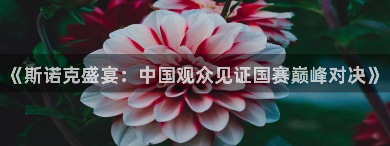 猎豹加速官网登录入口