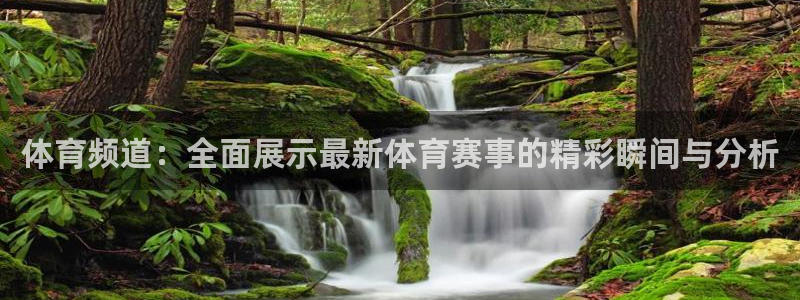 猎豹贷款app