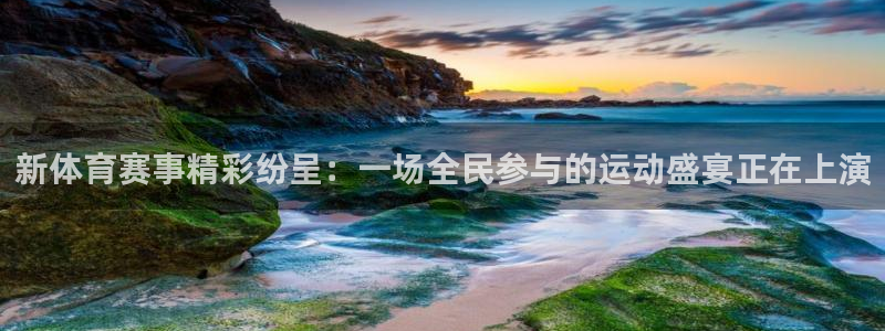 猎豹体育文化传播有限公司：新体育赛事精彩纷呈：一场全民参与的运动盛宴正在上演