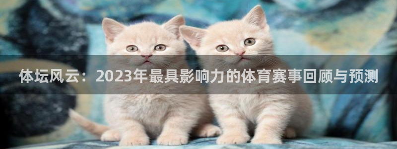 猎豹体育文化：体坛风云：2023年最具影响力的体育赛事回顾与预测