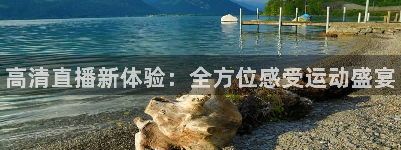 猎豹app下载安装：高清直播新体验：全方位感受运动盛宴