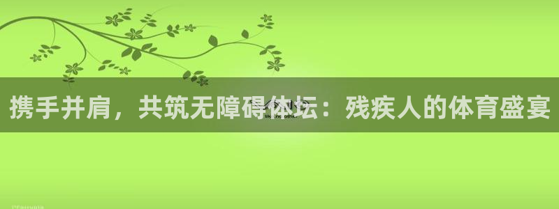 猎豹app下载：携手并肩，共筑无障碍体坛：残疾人的体育盛宴
